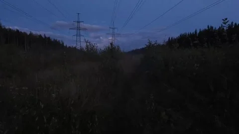 Enjoy the grass Stock Footage 316798046