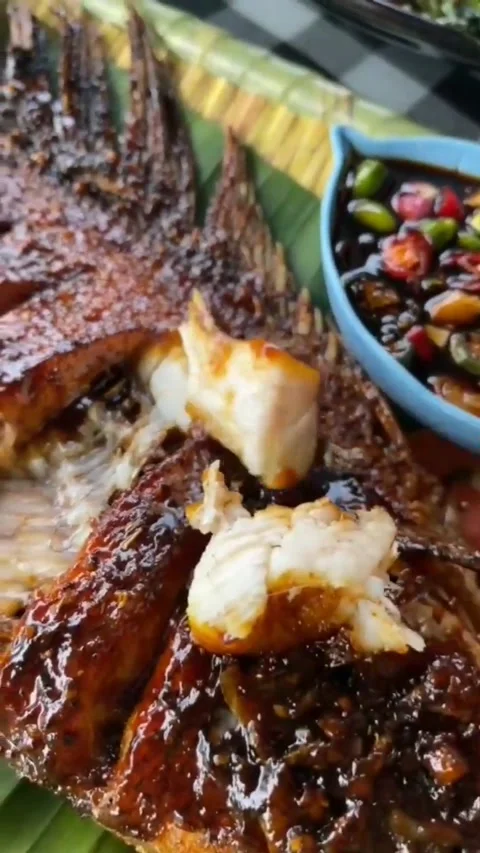 Enjoy grilled fish Stock Footage 244695016