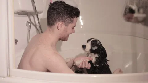 Enjoy the heart warming sight of a guy giving his Border Collie puppy a bath in Stock Footage 241042795