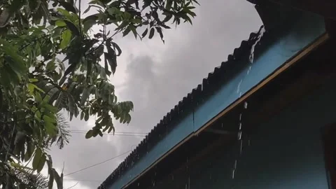 Enjoy the rain Stock Footage 316567161