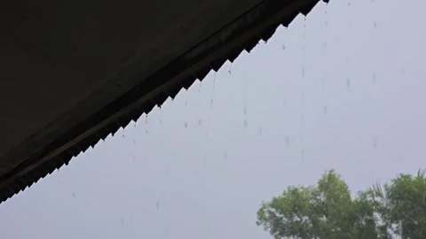 Enjoy the rain Stock Footage 316734792