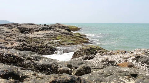 Enjoy the rush of the sea Stock Footage 47707203