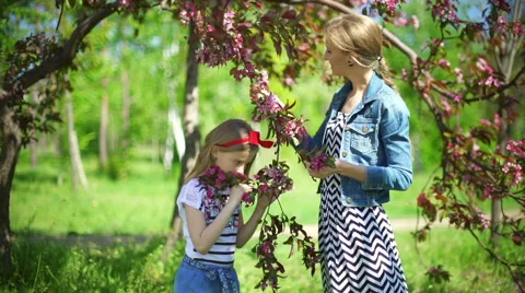 Enjoy the scent of a blossoming tree Stock Footage 64326091