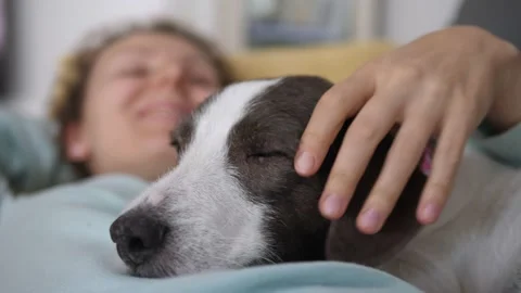 Enjoy self-isolation alone at home socialising with pets amid covid-19 Stock Footage 144901644