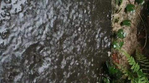 Enjoy the sound of rain Stock-Footage 330677574
