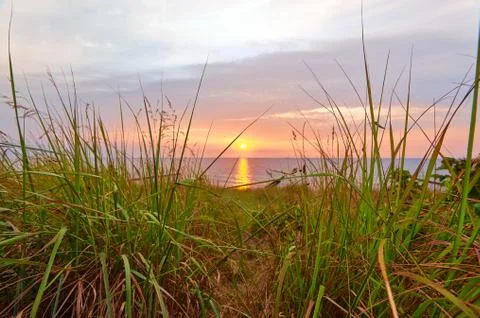 Enjoy sunset on beach Stock Photos