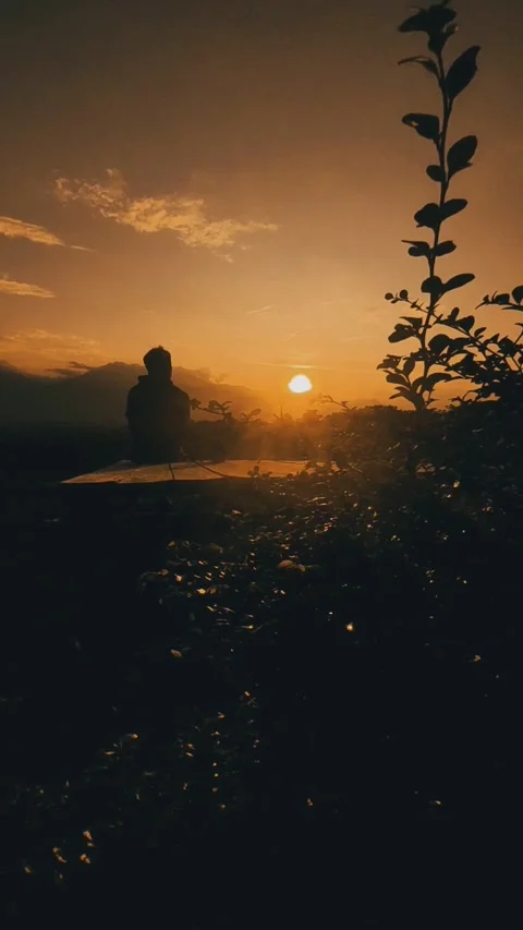 Enjoy the sunset 库存影片 243876884