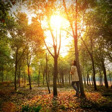 Enjoy the sunset Stock Photos