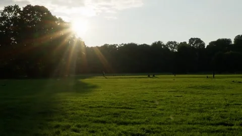 Enjoy the sunset rays illuminating a lush park landscape filled with tranquility Video stock 318616339