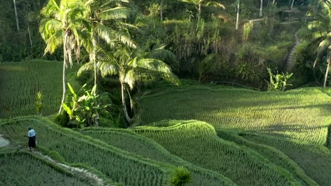Enjoy the tranquility of the countryside Stock Footage 304187631