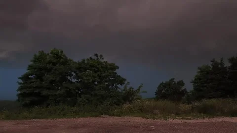 Enjoy the trees moving in the wind Stock Footage 316946702