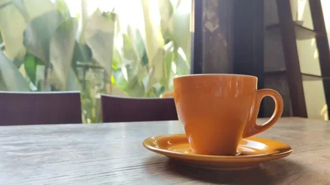 Enjoy the view with a cup of coffee Stock Footage 252016022