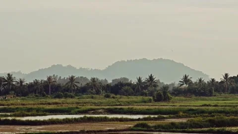 Enjoy the view of the village Stock Footage 316734811