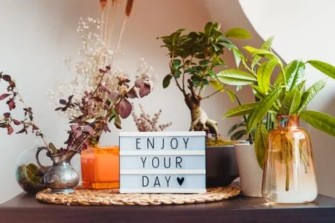 Enjoy your day message on lightbox standing on a table with green home plants Stock Photos