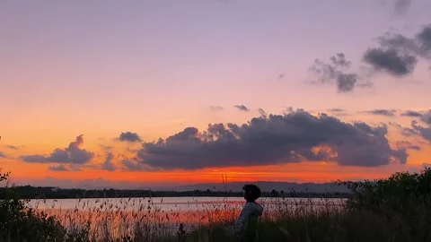 Enjoy your sunset Stock Footage 316574664