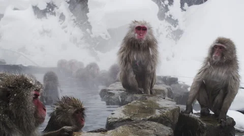 Enjoyable Hot Bath on a cold Winter Day Video stock 64525605