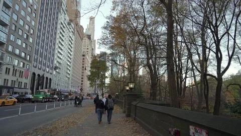 Enjoying an Autumn Stroll Along the Scenic Edge of Central Park in NYC This Vidéo 295073783