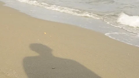 Enjoying the beach Stock Footage 240932515