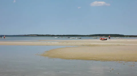 Enjoying a day at the beach Stock Footage 40313318
