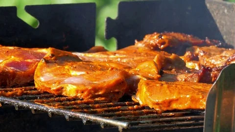 Enjoying the evening at the barbecue Stock Footage 76087526