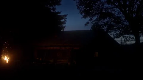 Enjoying a fire while night falls in bavarian forest park Stock Footage 325724775