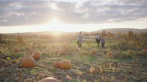Enjoying a fun afternoon at the pumpkin patch with family Vídeos de archivo 319922752