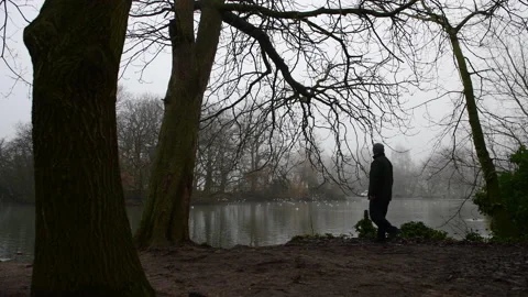 Enjoying the lake view. Stock Footage 145795564