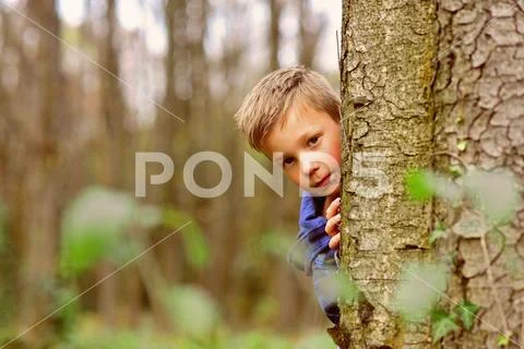 Enjoying my childhood. Little boy have fun in woods. Little boy play hide and Stock Photos
