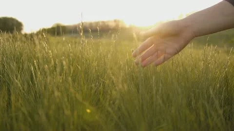 Enjoying the nature Stock Footage 10912828
