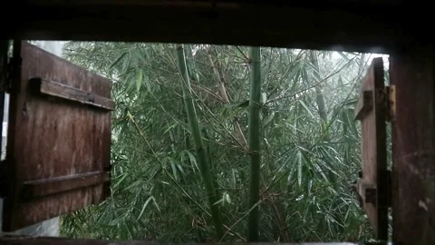 Enjoying the rain from behind the kitchen window. Stock Footage 330675879