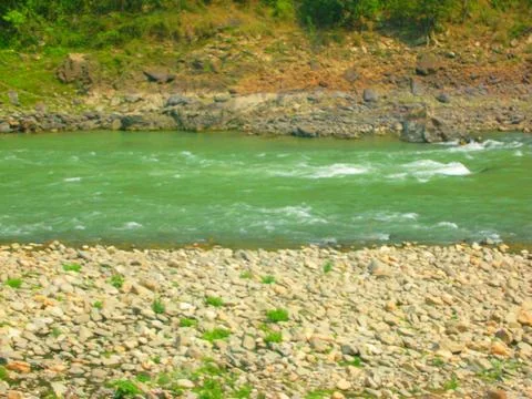 Enjoying a rapid river stream Stock Photos