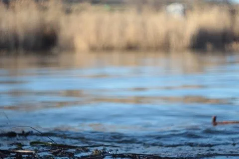 Enjoying by the river Stock-Fotos