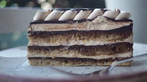 Enjoying a slice of cake in a cozy cafe setting Stock Footage 335855972