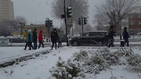 Enjoying the snow. Stock Footage 147211478