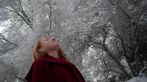 Enjoying Snowy Trees Stock Footage 60818399