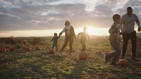 Enjoying a sunny afternoon at the pumpkin patch with family fun Stock Footage 319923202
