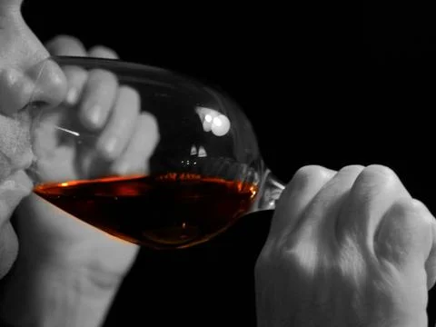 Enjoying wine Stock Photos