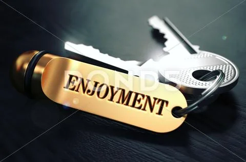 Enjoyment written on Golden Keyring Stock Illustration