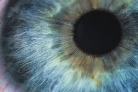 An enlarged image of eye with a blue iris, eyelashes and sclera. the shot is  Stock Photos