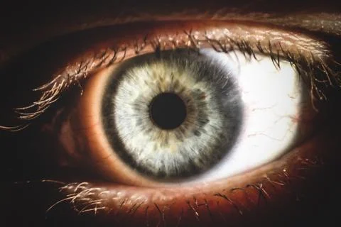An enlarged image of eye with a gray iris, eyelashes and sclera. the shot is  Stock Photos