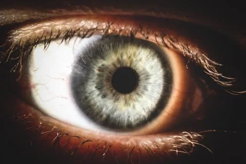 An enlarged image of eye with a gray iris, eyelashes and sclera. the shot is  Stock Photos