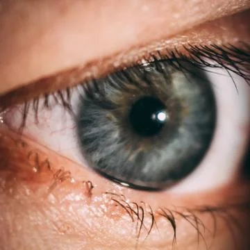 Enlarged image of an eye iris made with a slit lamp Stock Photos