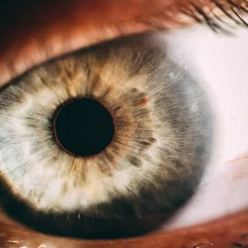Enlarged image of an eye iris made with a slit lamp Stock Photos
