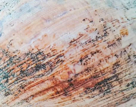 Enlarged texture details of a large shell. Stock Photos