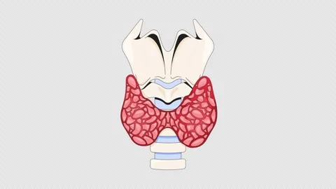 Enlarged thyroid gland affected by hyperthyroidism cartoon animation Stock Footage 321687637