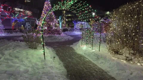 Enlightment in the archway of lights surrounded the bright Christmas trees Stock Footage 221883389