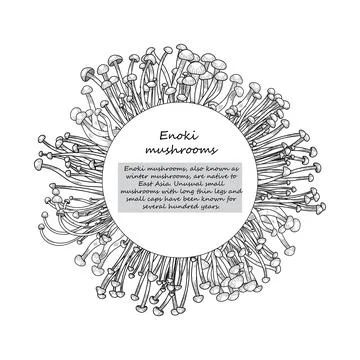 Enoki circle frame about natural mushrooms Stock Illustration