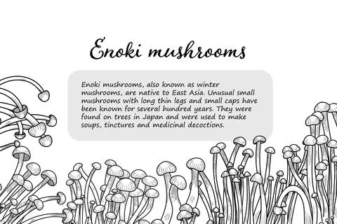 Enoki mushroom graphic vector frame Stock Illustration