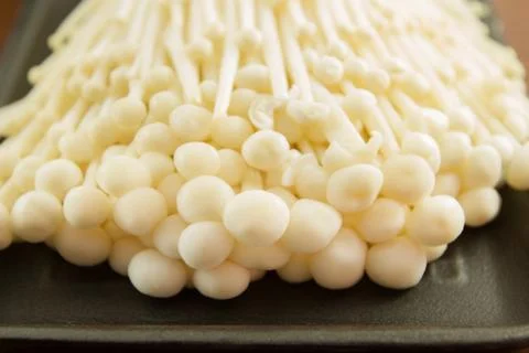 Enoki mushroom Stock Photos