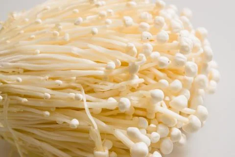 Enoki mushroom Foto stock